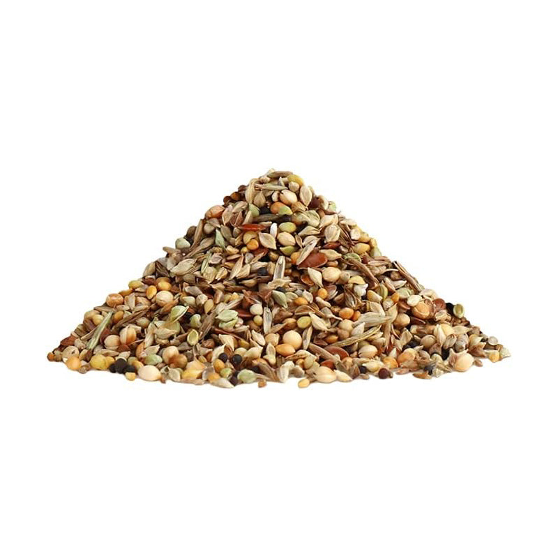 Rio Wild Seeds Mix Natural Treat for All Birds