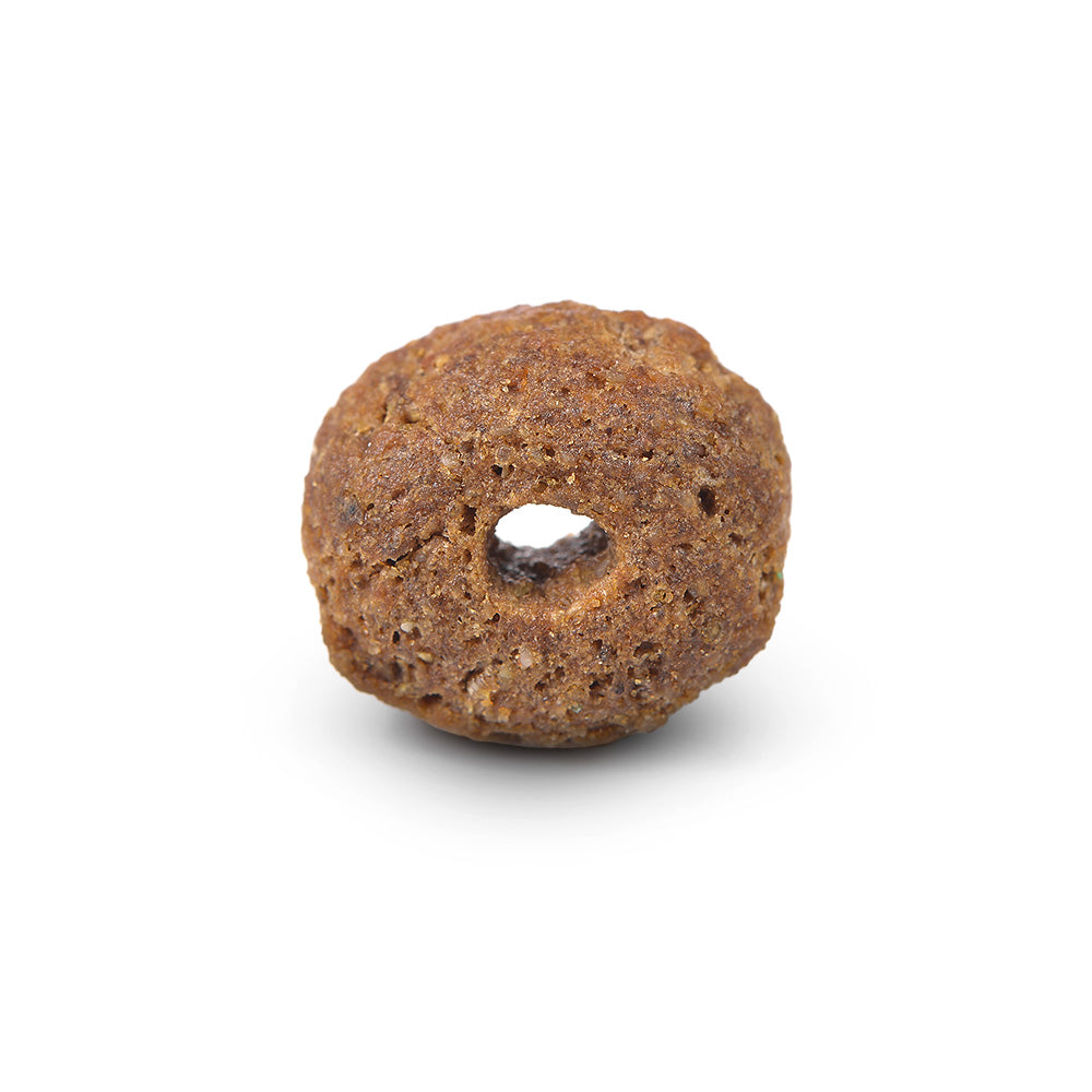 Arden Grange Large Breed Puppy with Chicken & Rice