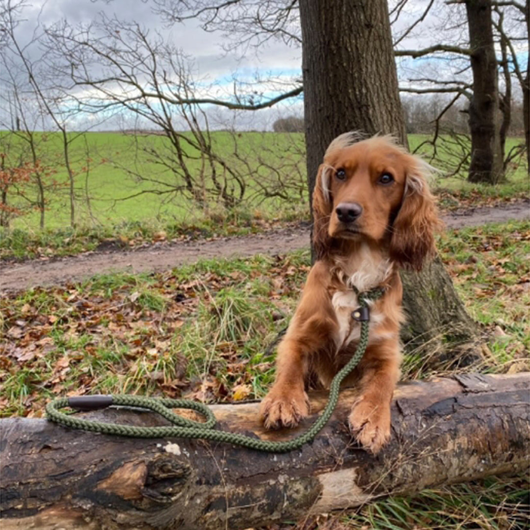 Ancol Heritage Rope Slip Lead