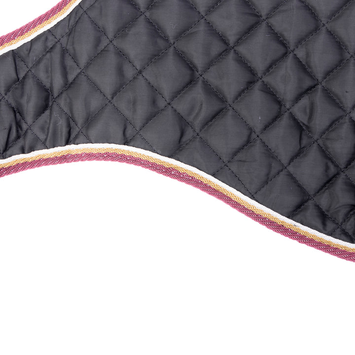Digby & Fox Waterproof Dog Coat