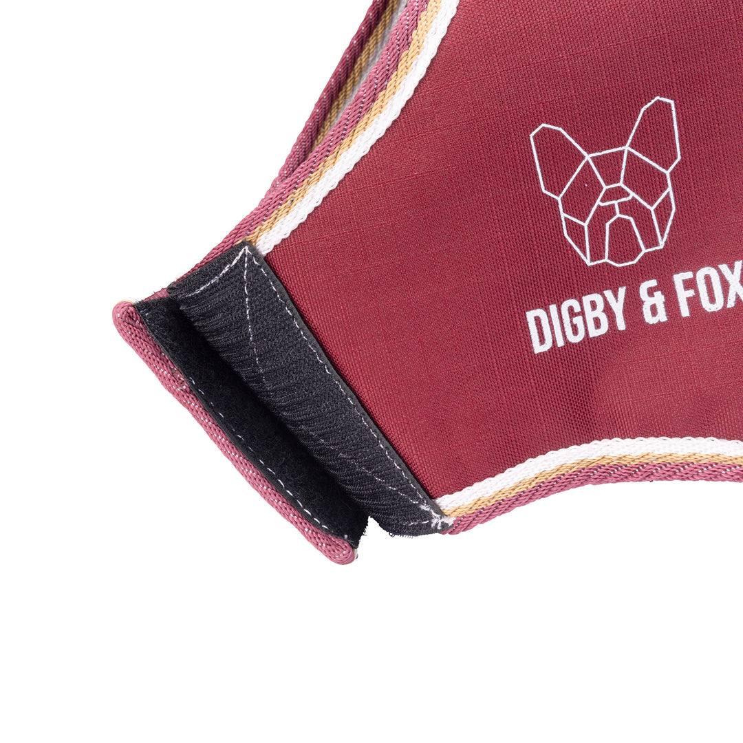 Digby & Fox Waterproof Dog Coat