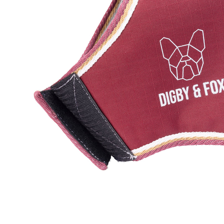 Digby & Fox Waterproof Dog Coat