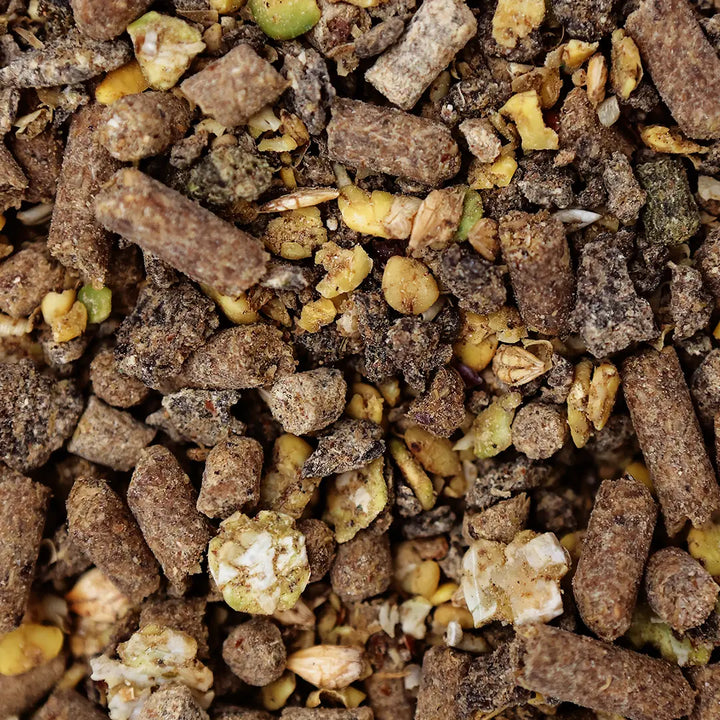 Saracen Veteran Balancer