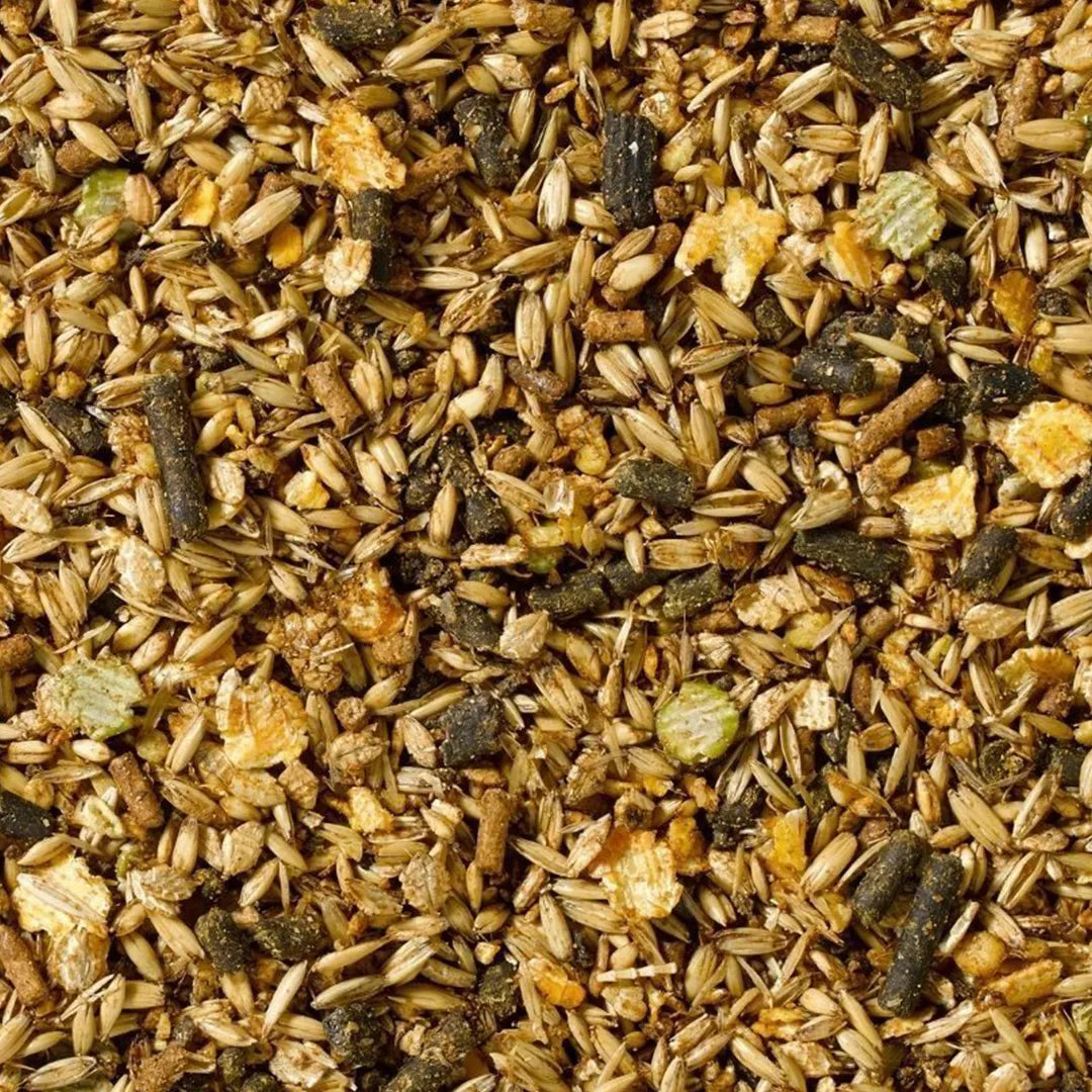 Saracen Competition-Fit-Mix