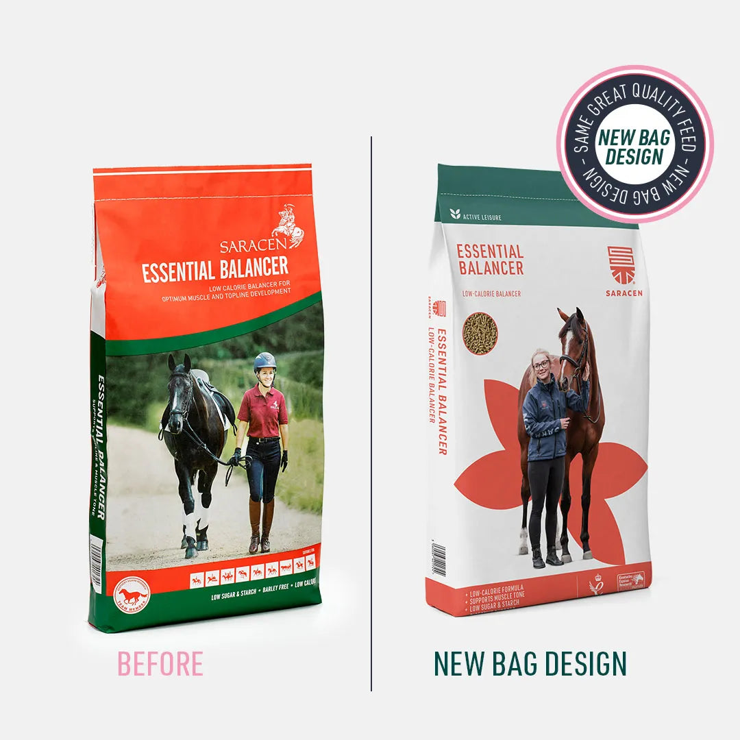 Saracen Essential Balancer