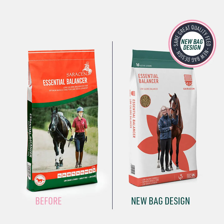 Saracen Essential Balancer