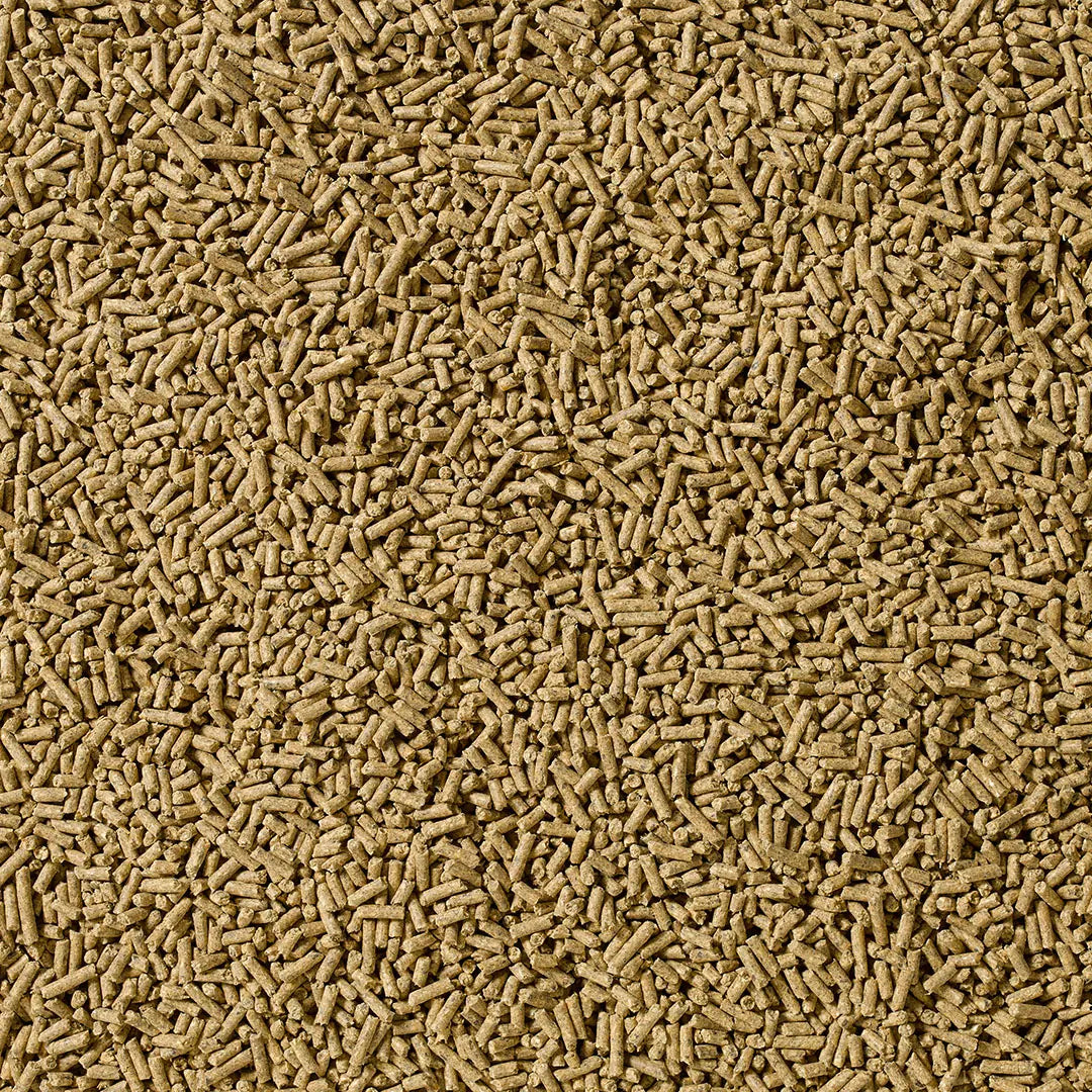 Saracen Stamm 30 Balancer