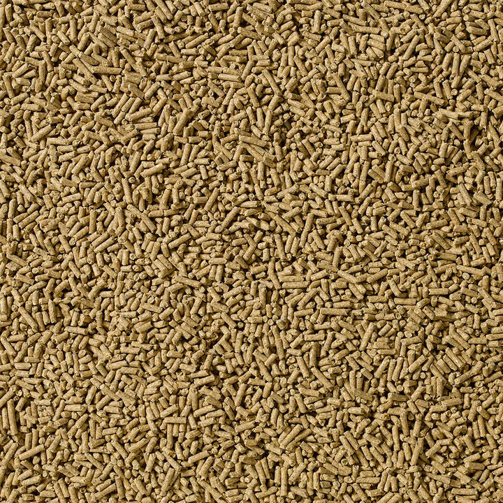 Saracen Stamm 30 Balancer