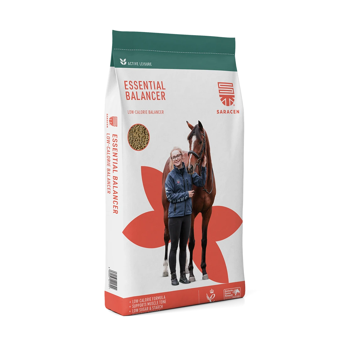 Saracen Essential Balancer