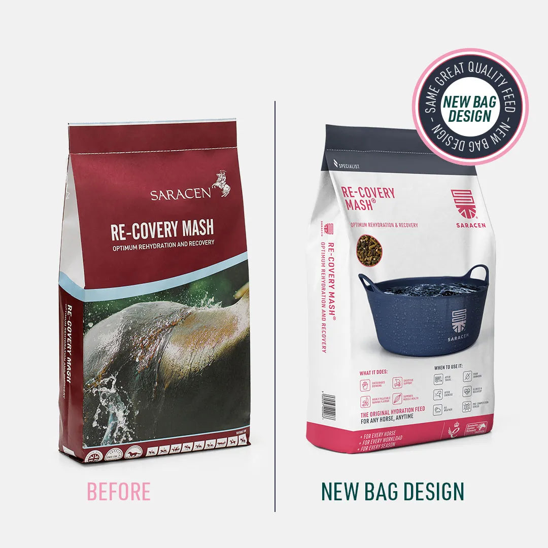 Saracen Re-Covery Mash