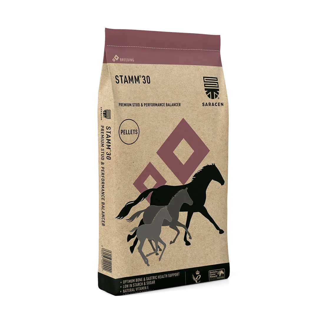 Saracen Stamm 30 Balancer