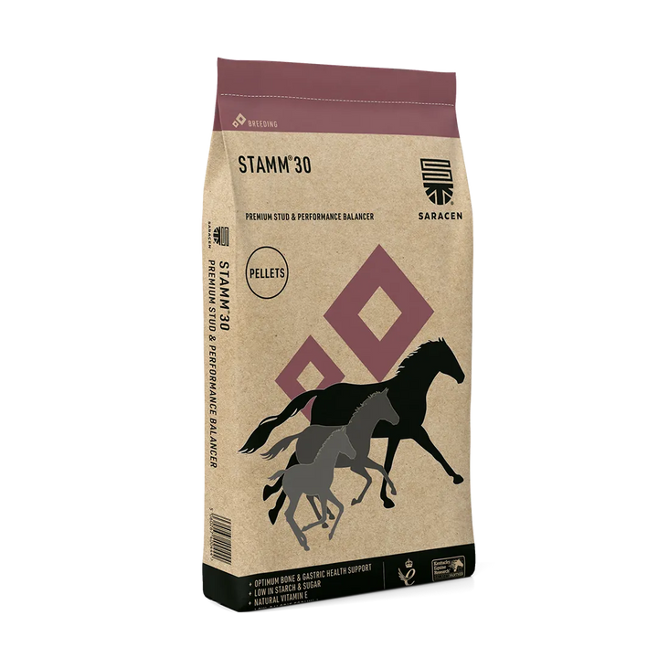 Saracen Stamm 30 Balancer