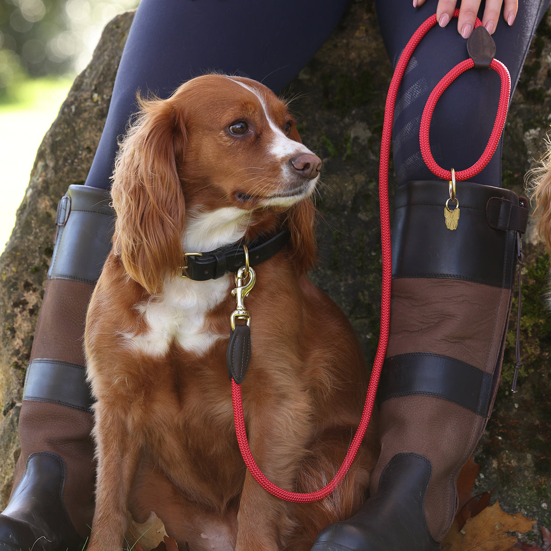 Digby & Fox Fine Rope Lead