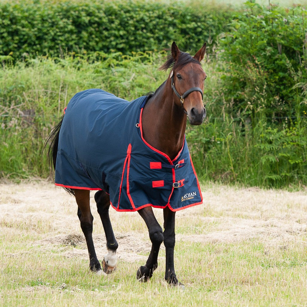 Gallop Trojan 200g Standard Turnout Rug