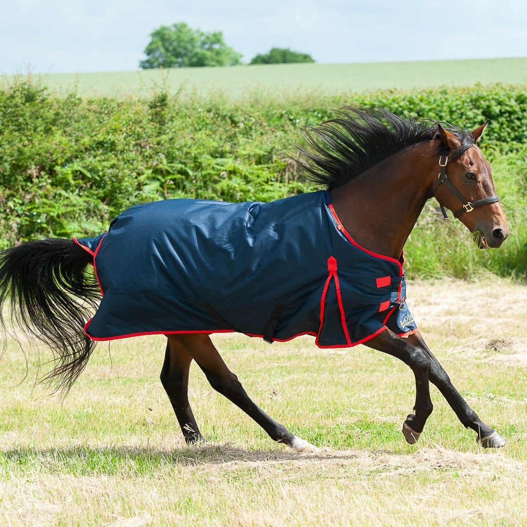 Gallop Trojan 200g Standard Turnout Rug