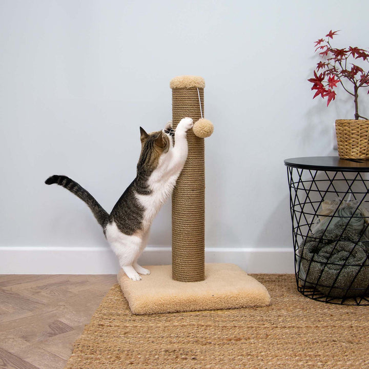 Ancol Cat Teddy Fleece Scratch Post