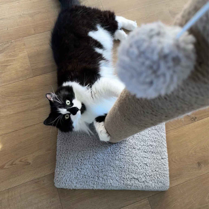 Ancol Cat Teddy Fleece Scratch Post