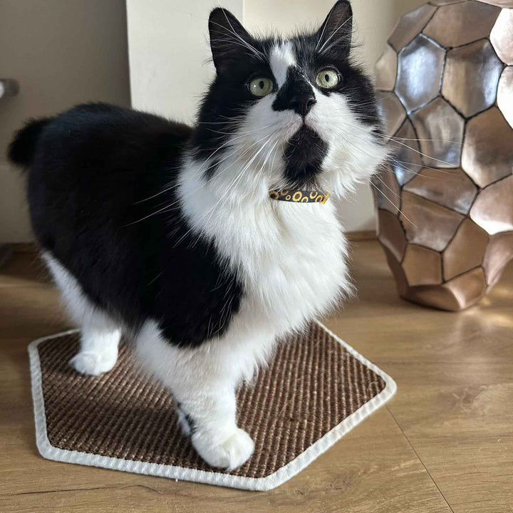 Ancol Hanging Cat Scratcher