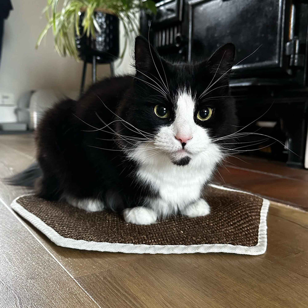 Ancol Hanging Cat Scratcher