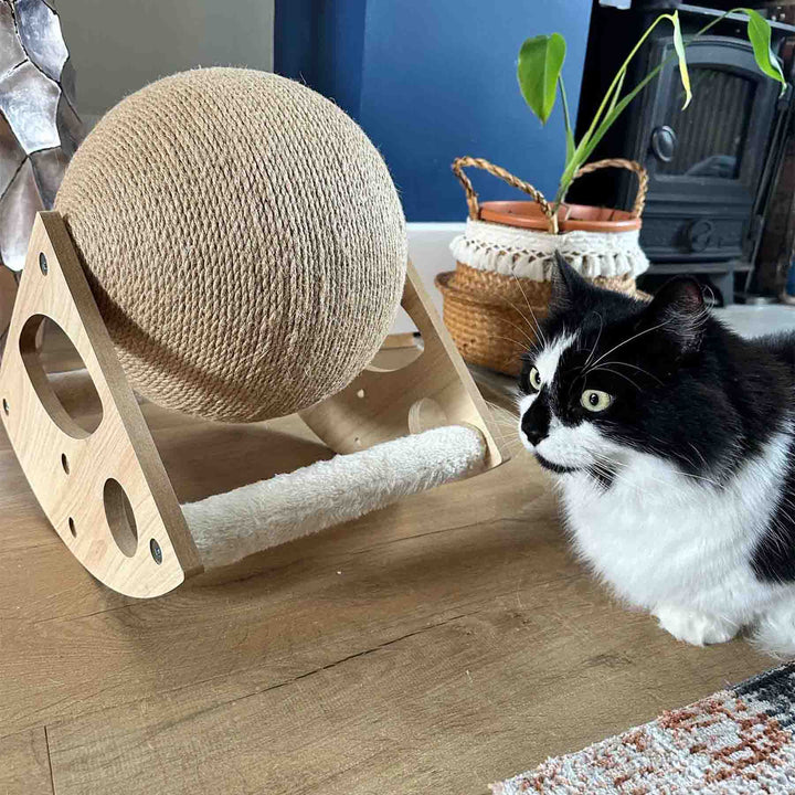 Ancol Globe Cat Scratcher