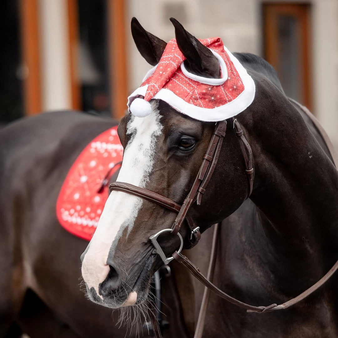 Millbry Hill Santa Hat for Horses