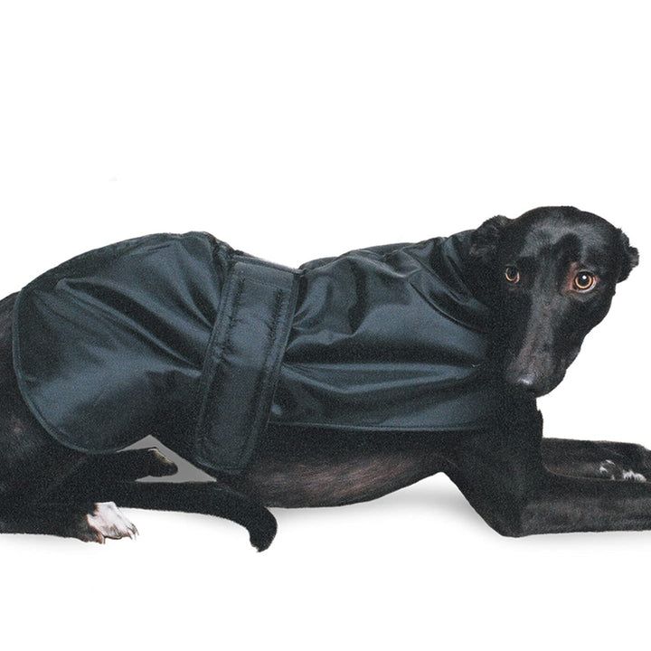 Ancol Hound Coat for Greyhounds & Whippets#Black