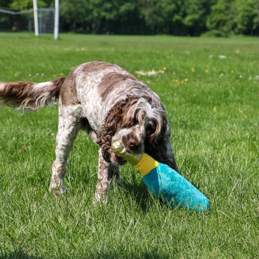 Ancol Pawty Champagne Dog Toy