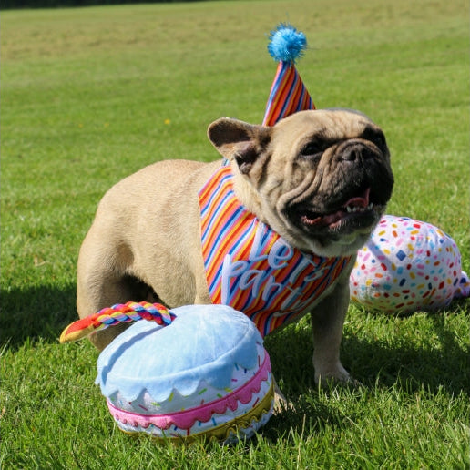Ancol Pawty Sprinkle Cake Dog Toy