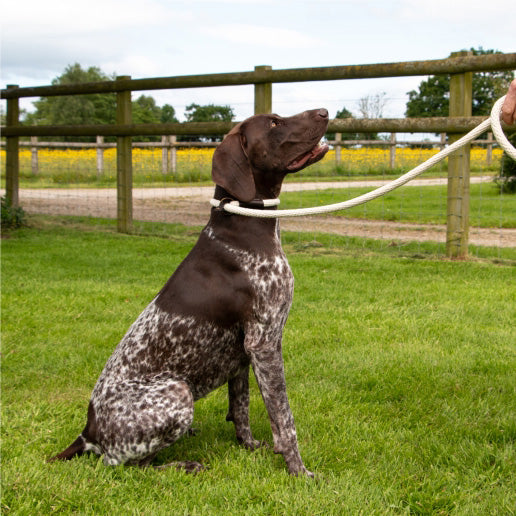 Ancol Heritage Cotton Rope Dog Lead