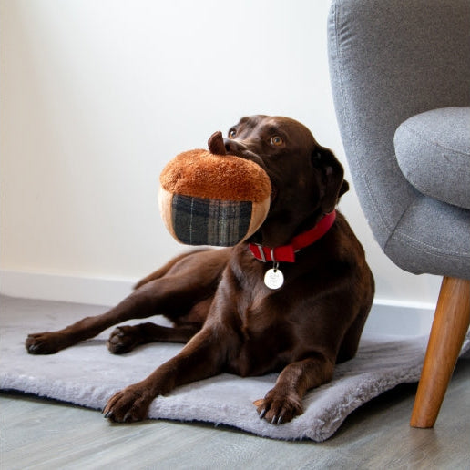 Ancol Hertiage Annie Acorn Dog Toy