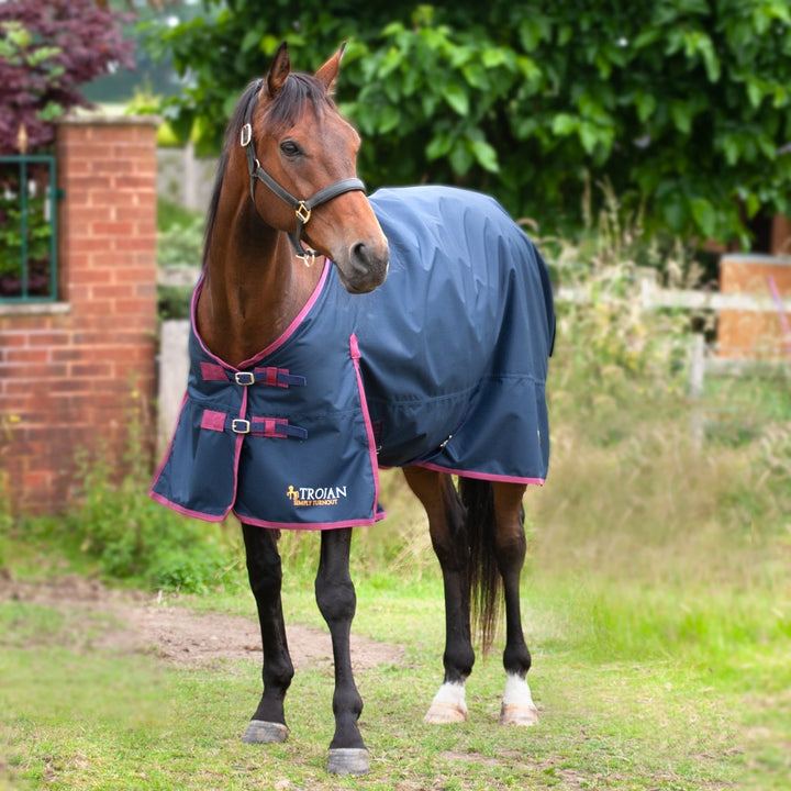 Gallop Trojan 50g Standard Turnout Rug