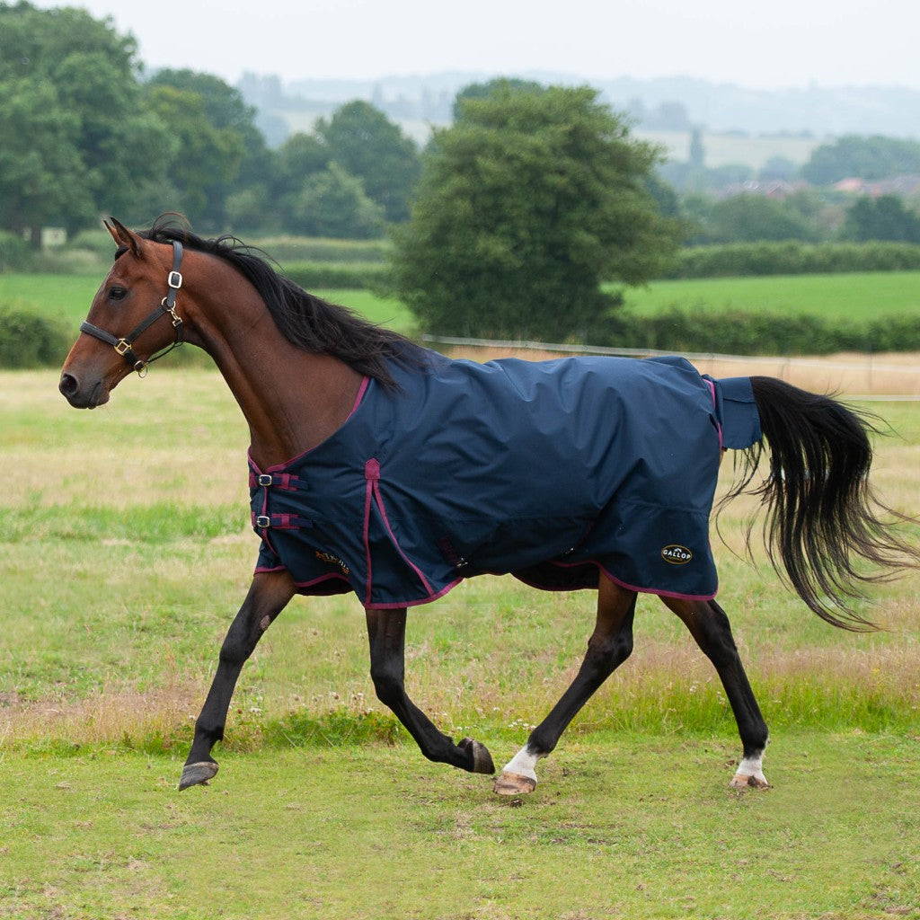 Gallop Trojan 50g Standard Turnout Rug