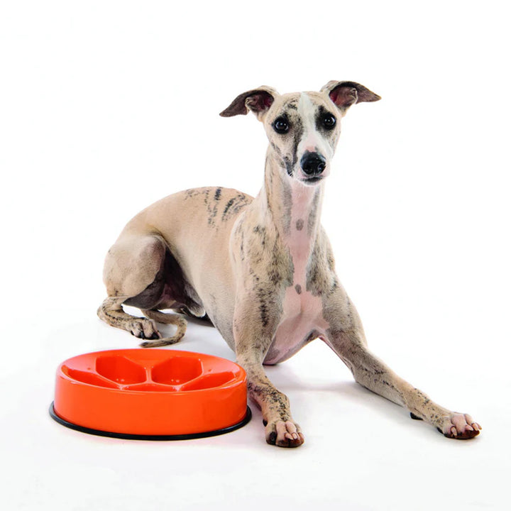 M-Pets Cavity Round Slow Feed Bowl