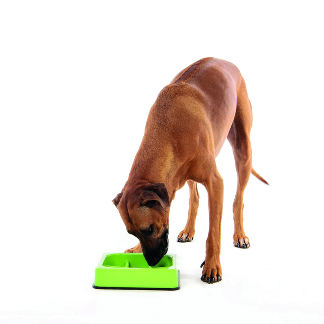 M-Pets Waffle Slow Checkered Feed Bowl