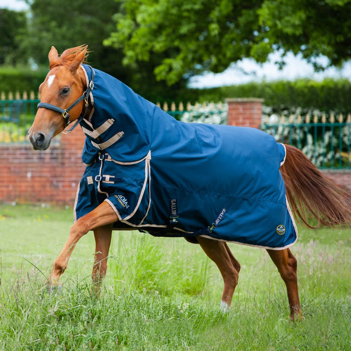 Gallop Trojan 100g Combo Turnout Rug