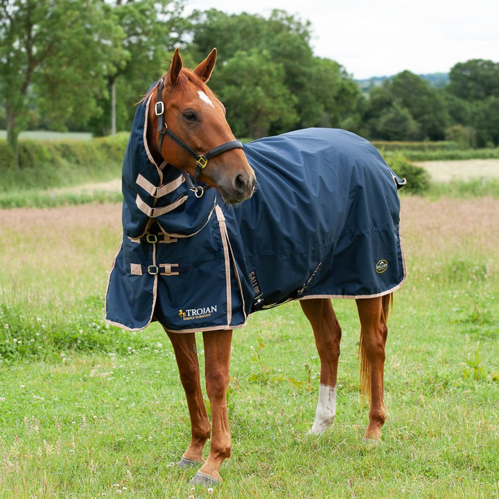 Gallop Trojan 100g Combo Turnout Rug