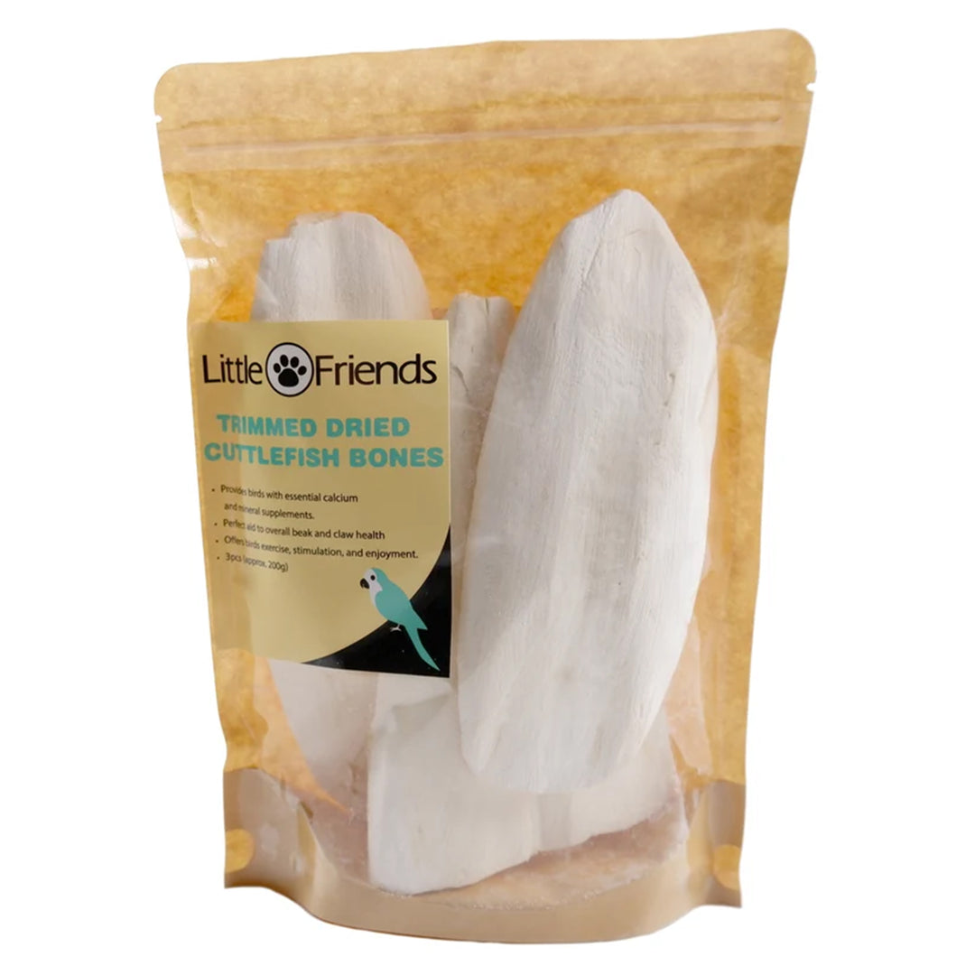 Little Friends Trimmed Dried Cuttlefish Bone