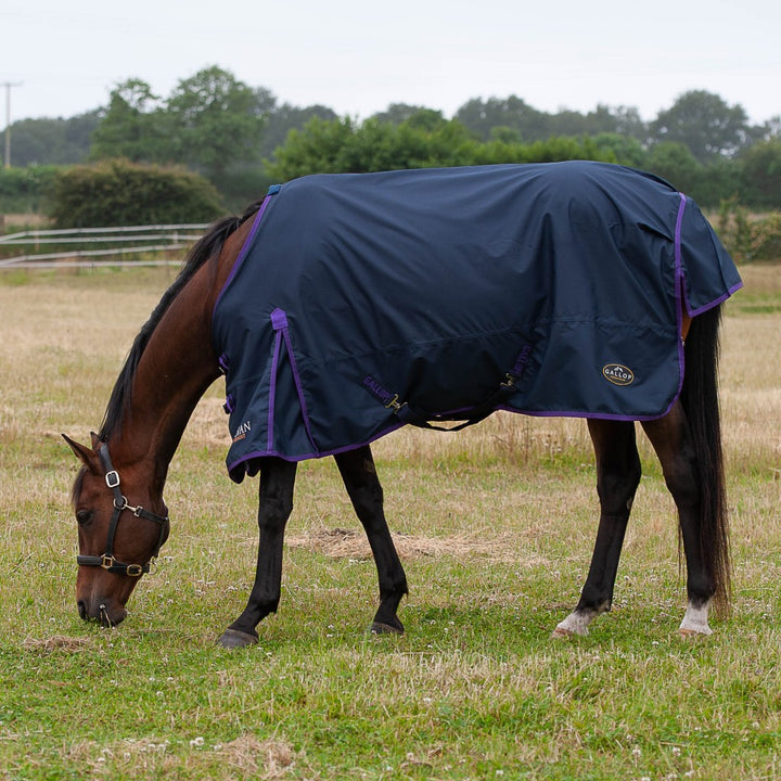 Gallop 0g Standard Turnout Rug