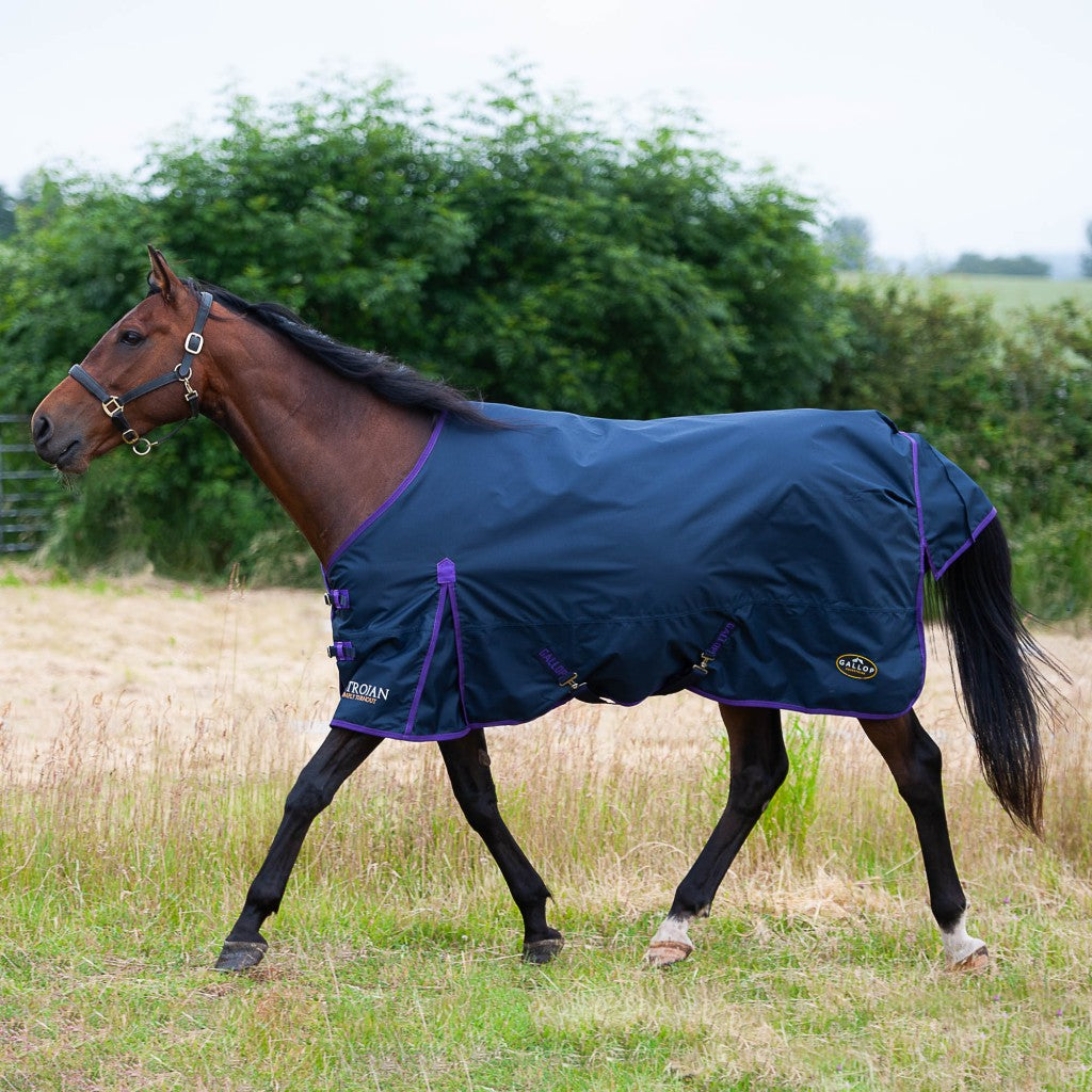 Gallop 0g Standard Turnout Rug