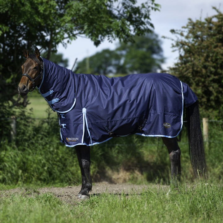 Gallop Trojan 350g Combo Turnout