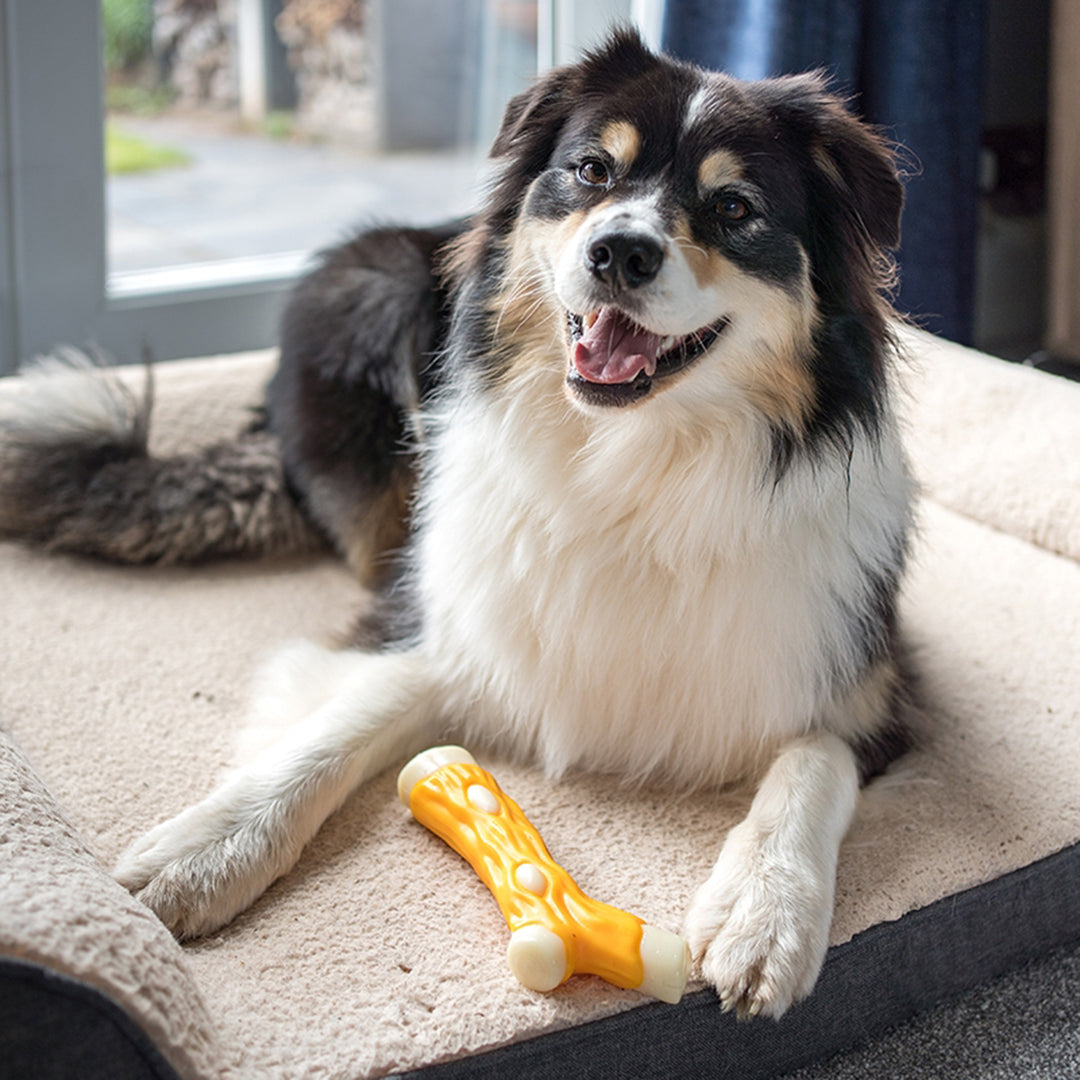 Zoon Chicken Flavour Nylon TuffStick