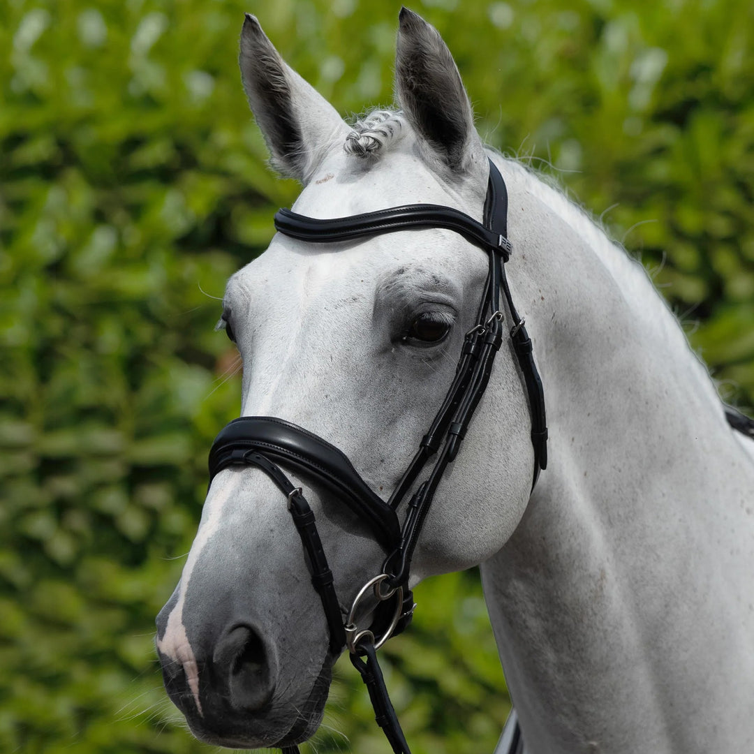 Premier Equine Rizzo Anatomic Snaffle Bridle with Flash