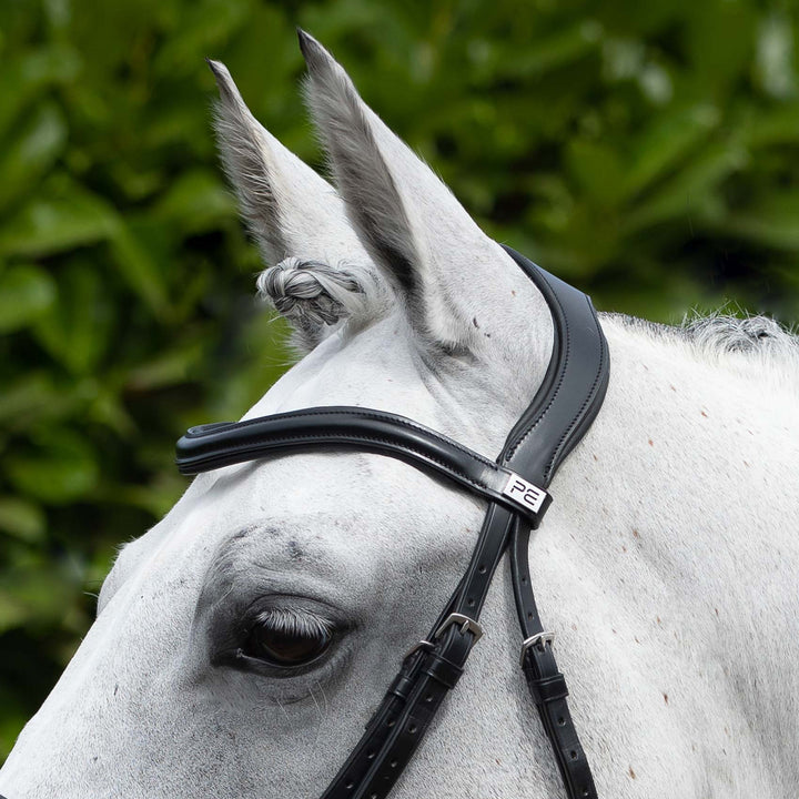 Premier Equine Rizzo Anatomic Snaffle Bridle with Flash