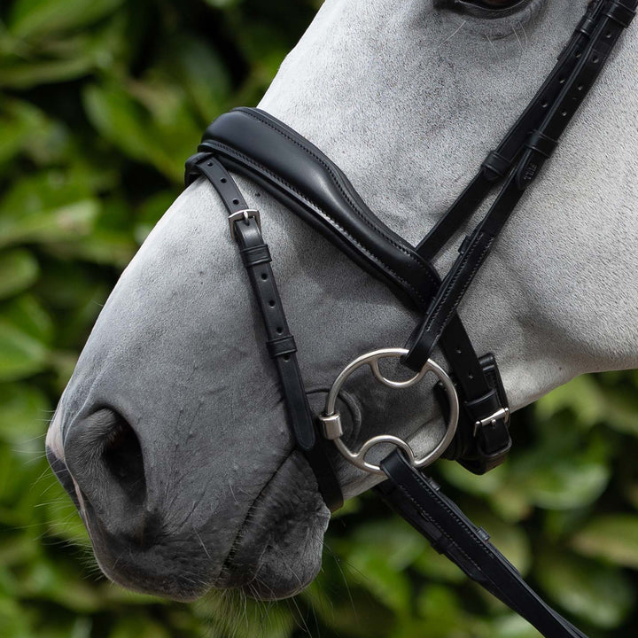 Premier Equine Rizzo Anatomic Snaffle Bridle with Flash