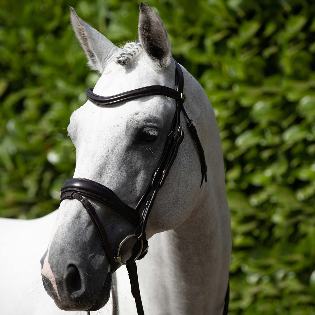 Premier Equine Rizzo Anatomic Snaffle Bridle with Flash