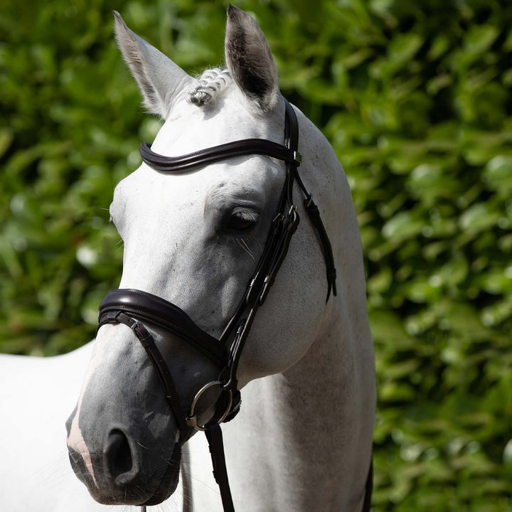 Premier Equine Rizzo Anatomic Snaffle Bridle with Flash