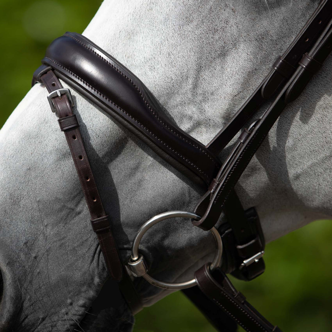 Premier Equine Rizzo Anatomic Snaffle Bridle with Flash