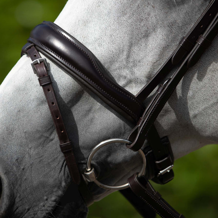 Premier Equine Rizzo Anatomic Snaffle Bridle with Flash