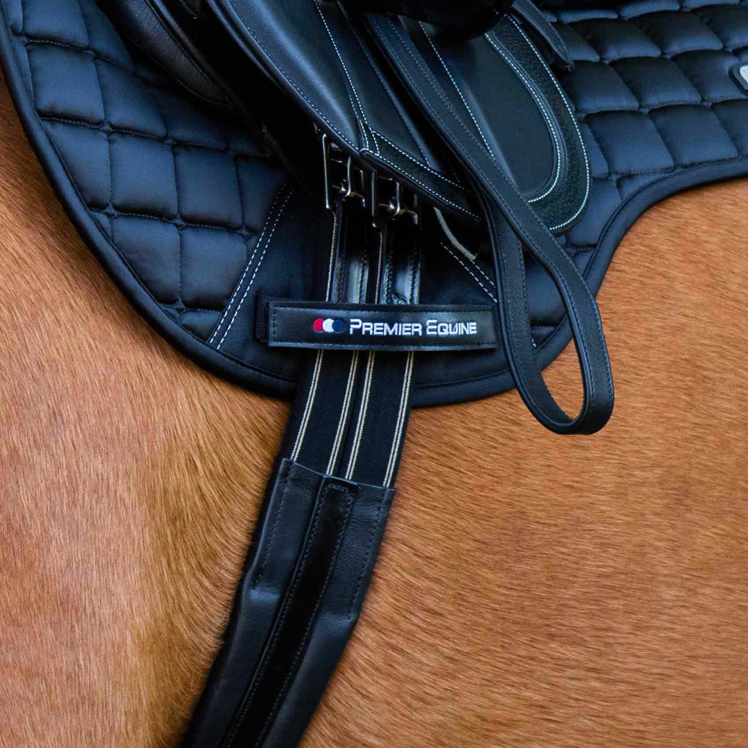 Premier Equine Rapone Leather Girth