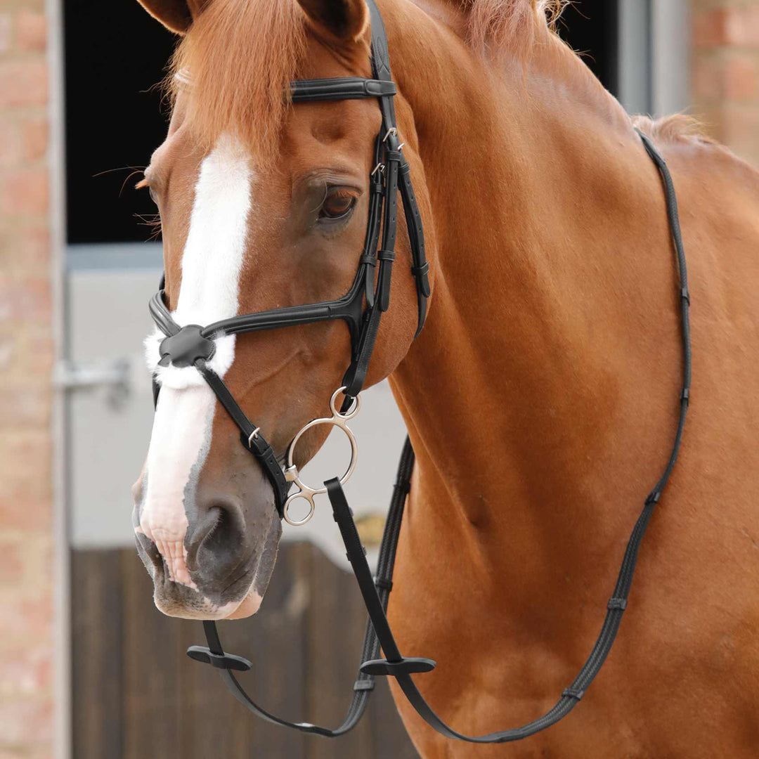 Premier Equine Domenico Web & Rubber Grip Reins